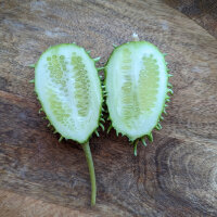 Antilliaanse augurk (Cucumis anguria) zaden