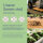 Cool Flowers - Hardy summer flowers for an early display - Seed kit No.34 <ai>