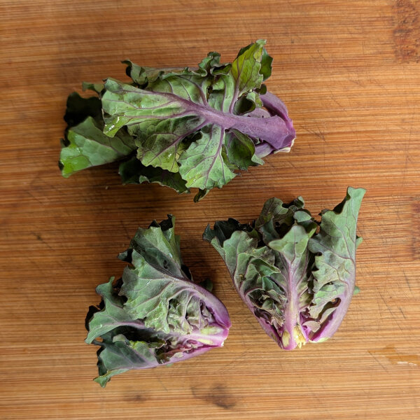 Koolroosjes (Brassica oleracea var. gemmifera x sabellica) zaden