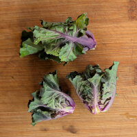 Koolroosjes (Brassica oleracea var. gemmifera x...