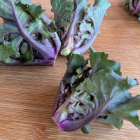 Koolroosjes (Brassica oleracea var. gemmifera x sabellica) zaden