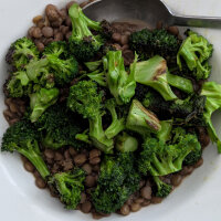 Broccoli ‘Limba’ (Brassica oleracea var. italica) biologisch zaad