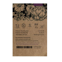 Chilipeper Elefant (Capsicum annuum) – Biologische zaden