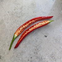 Koreanischer Chili Taeyang Medium (Capsicum annuum) Bio-Saatgut