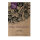 Zoete paprika Sweet Chocolate (Capsicum annuum) zaad