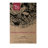 Koriander Jantar (Coriandrum sativum) zaden