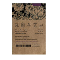 Netmeloen Petit gris de Rennes (Cucumis melo) biologisch zaad