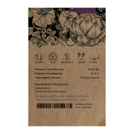 Winterkropsla Baquieu (Lactuca sativa) biologische zaden