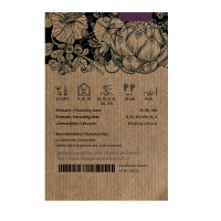 IJsbergsla Ice Queen (Lactuca sativa) zaden