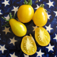 Tomaat Dattelwein (Solanum lycopersicum) zaden
