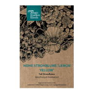 Strobloem Lemon Yellow (Xerochrysum bracteatum) zaden