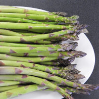 Paarse asperge Argenteuil (Asparagus officinalis)...