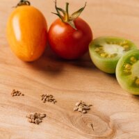 Kleurrijke oude tomatensoorten - zaden - cadeauset