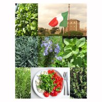 Kruiden voor de Italiaanse keuken - zaad-cadeau set