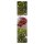 Thaise Chilis - zaad-cadeau set