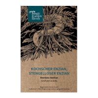 Kochs gentiaan / stengelloze gentiaan (Gentiana acaulis)...