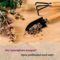 Belangrijke geneeskrachtige planten der homeopathie - zaad-cadeauset