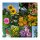 Snelgroeiende bloemen - zaden cadeauset