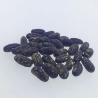 Struikboon Tendergreen (Phaseolus vulgaris) zaden