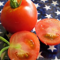 Buiten tomaat Hellfrucht (Solanum lycopersicum) bio zaad