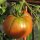 Tomaat Schwarze Krim (Solanum lycopersicum) bio zaad