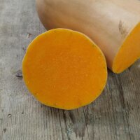 Butternut-pompoen Ponca (Cucurbita moschata) bio zaad