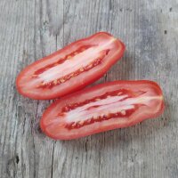 Tomaat San Marzano (Solanum lycopersicum) bio zaad