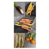 Kleurrijke wortelen - zaad set