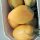 Tomaat Cream Sausage (Solanum lycopersicum) zaden