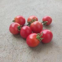 Tomaat Gartenperle (Solanum lycopersicum) zaden