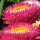 Goud-strobloem / tuin-strobloem (Xerochrysum bracteatum) bio zaad