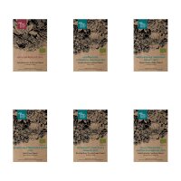 Insectvriendelijke kleurrijke bloemen (biologisch) - zaad-cadeauset