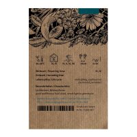 Het klein hoefblad (Tussilago farfara) bio zaad