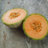 Cantaloupe suikermeloen Retato Degli Ortolani (Cucumis...