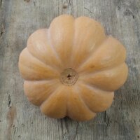 Muskaatpompoen Muscade de Provence (Cucurbita moschata) bio zaad