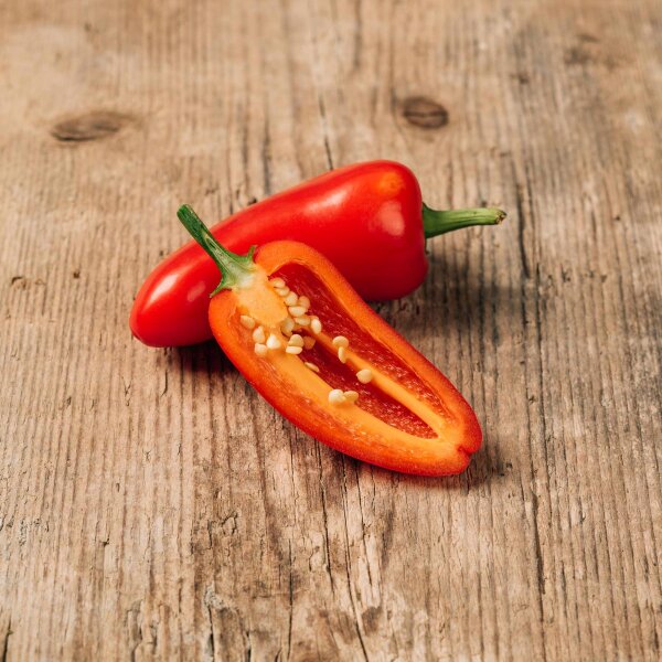 Chilipeper Jalapeño (Capsicum annuum) bio zaad