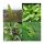 Natuurlijke kleurstofplanten (bio) -  zaad set