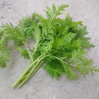 Qing Hao / zomeralsem (Artemisia annua) zaden bio zaad