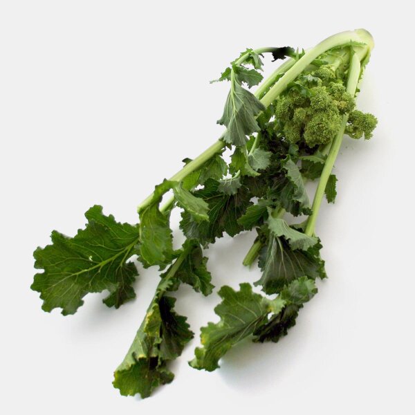 Italiaanse raapsteel/ Cime di Rapa (Brassica rapa) bio zaad