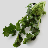 Italiaanse raapsteel/ Cime di Rapa (Brassica rapa) bio zaad