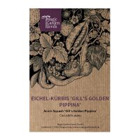 Eikelpompoen Gills Golden Pippina (Cucurbita pepo) zaden
