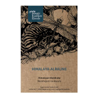 Himalaya alruin (Mandragora caulescens)