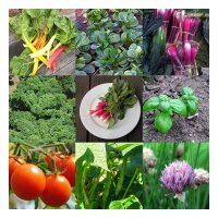 Verhoogd-bed-groenten voor beginners (biologisch) - zaad-cadeauset