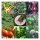 Verhoogd-bed-groenten voor beginners (biologisch) - zaad-cadeauset