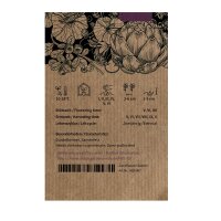 Kleurrijke wortel-mix (Daucus carota) zaden